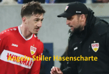 Angelo Stiller Hasenscharte