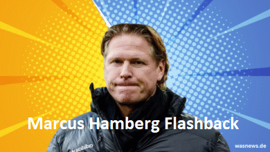 Marcus Hamberg Flashback